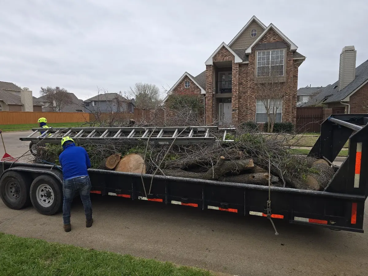 Expert Tree Fertilization with proper safety equipment in Moulton